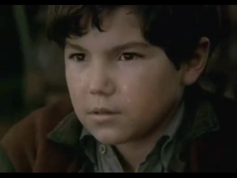 Kicsi Fa az indiánok között