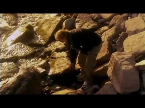 A sorsfordító üzenet