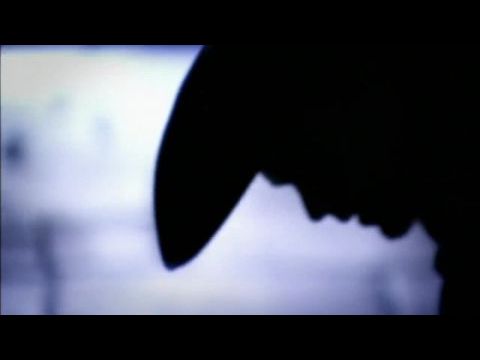 Secrets of Westminster