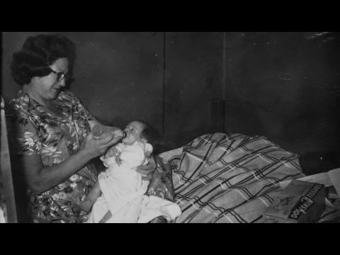 Julian Schnabel – egy sokoldalú művész portréja