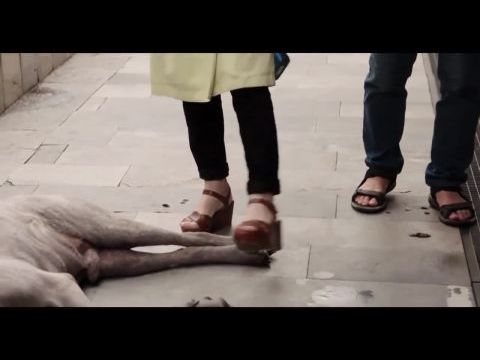 La caméra de Claire