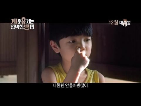 Hogyan lopjunk kutyát?