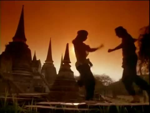 Karate tigris 4. - A szabadság fiai