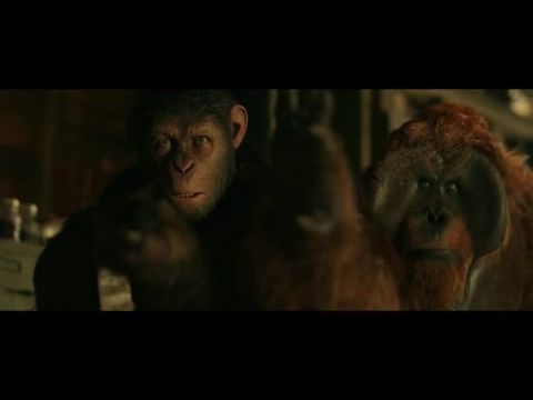 A majmok bolygója: Háború