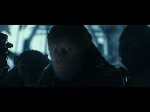 A majmok bolygója: Háború