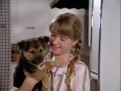 Devil Dog: The Hound of Hell