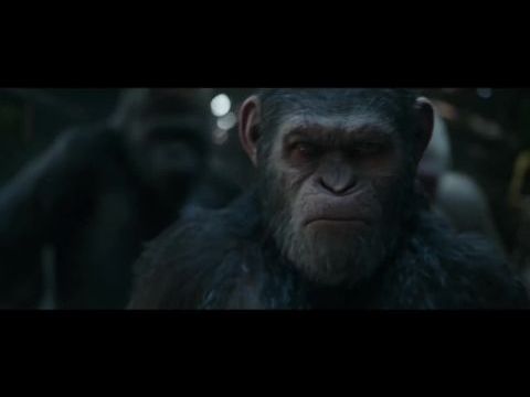 A majmok bolygója: Háború