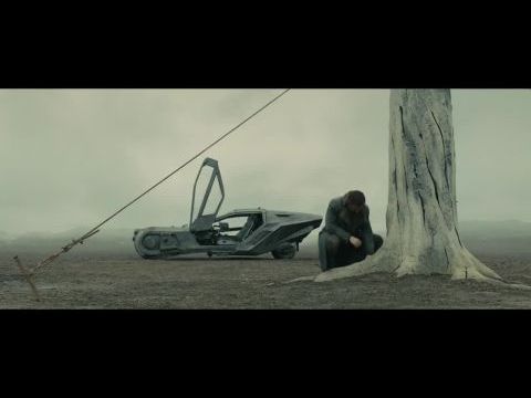 Szárnyas fejvadász 2049