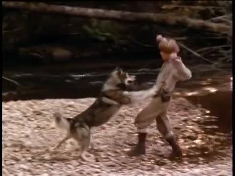 Fehér Agyar 2: A fehér farkas mítosza