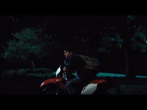 Egy szent szarvas meggyilkolása