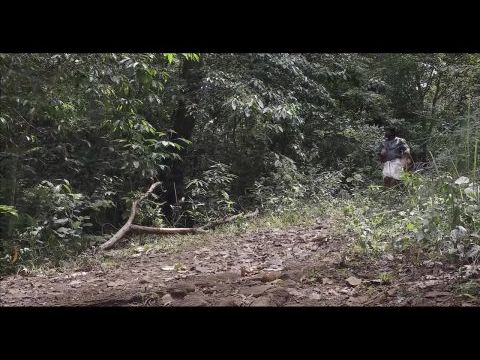 Ozhivudivasathe Kali