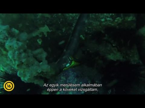 Nyílt tengeren: Cápák között