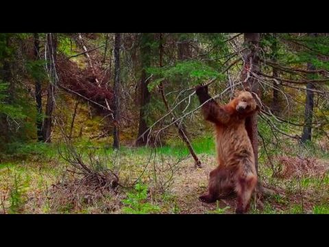 Earth: One Amazing Day