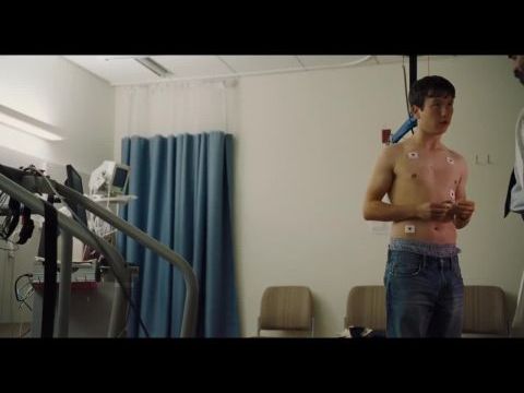 Egy szent szarvas meggyilkolása