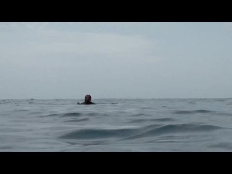 Nyílt tengeren: Cápák között