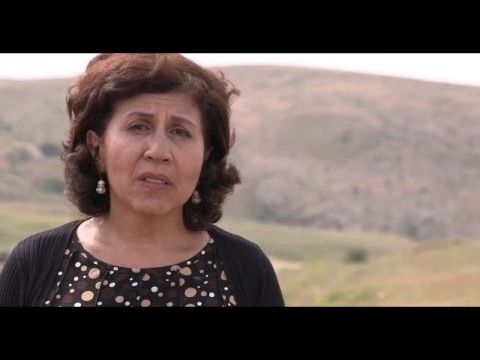 Architects of Denial