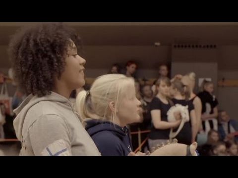 Hobbyhorse revolution