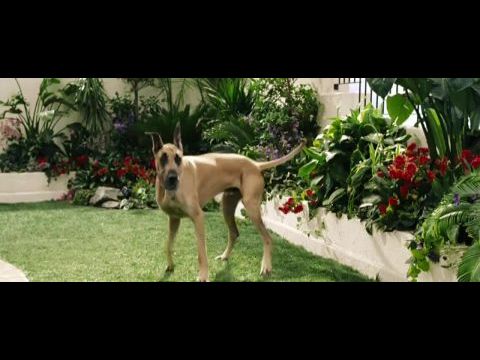 Marmaduke - A kutyakomédia