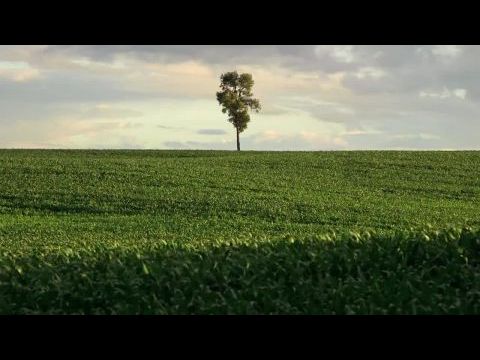 In Pursuit of Silence