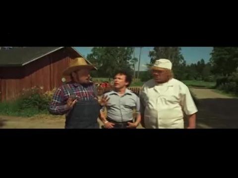 Herra Heinämäki ja Leijonatuuliviiri