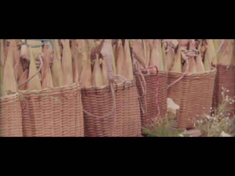 El mito de la oscuridad