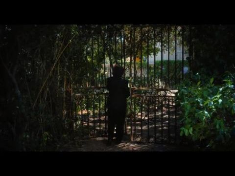 Le lion est mort ce soir