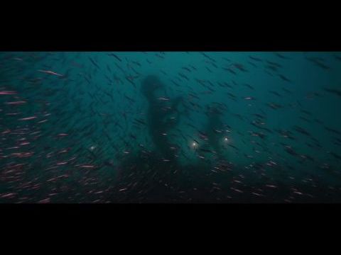 Treasures from the Wreck of the Unbelievable