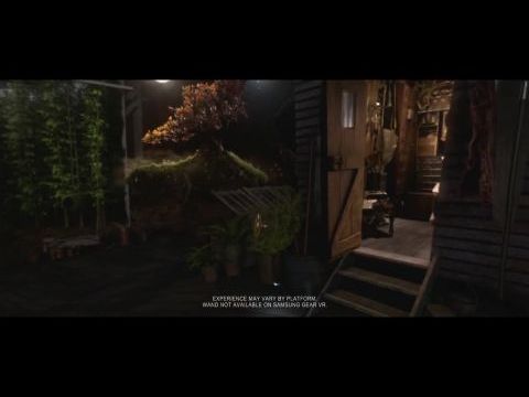 Legendás állatok és megfigyelésük