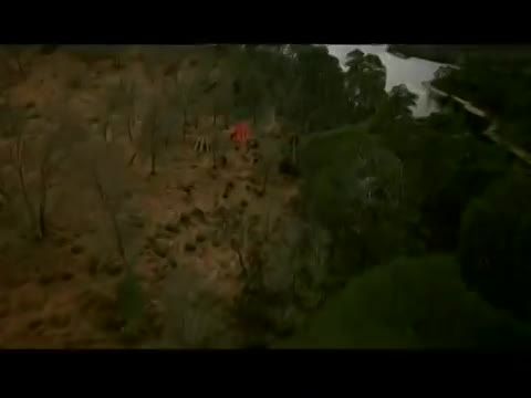 Szent György és a sárkány