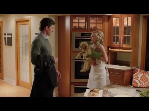 Karácsonyi kutyabaj