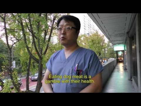 The Dog Meat Professionals: South Korea