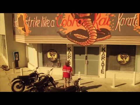 Cobra Kai - A karate kölyök öröksége