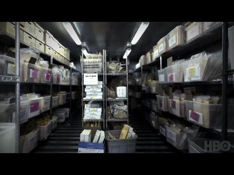 Az erőszak labirintusában