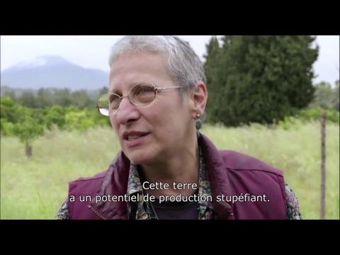 Nul homme n'est une île