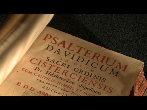 Eszmény és valóság