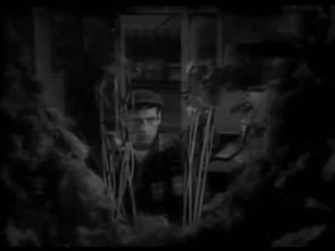 Rémségek kicsiny boltja