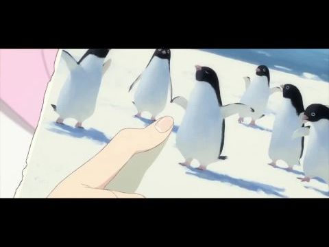 Penguin Highway
