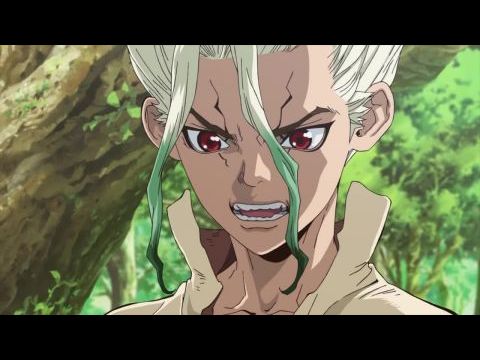 Dr. Stone