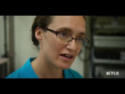 Újszülöttek: Életünk első éve