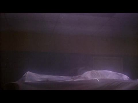 The Horror Show