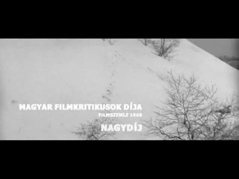 Csend és kiáltás