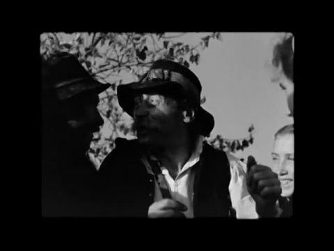 Ének a búzamezőkről