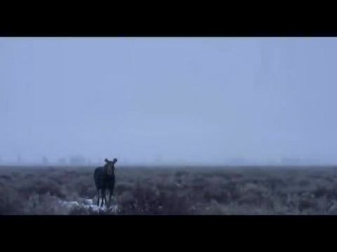 America the Beautiful