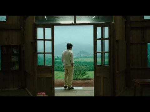 Bên trong vỏ kén vàng