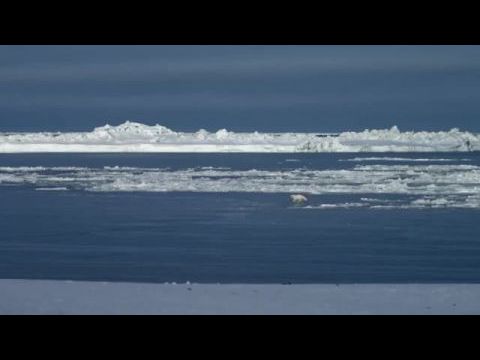 Alaszka: Egy év a vadonban