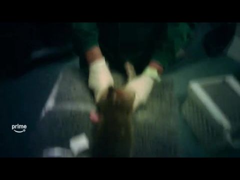 Infiltrada en el búnker