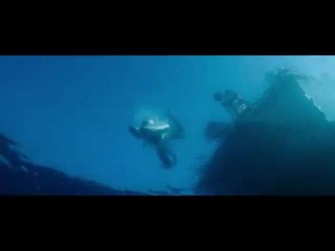 Reflection in a Dead Diamond