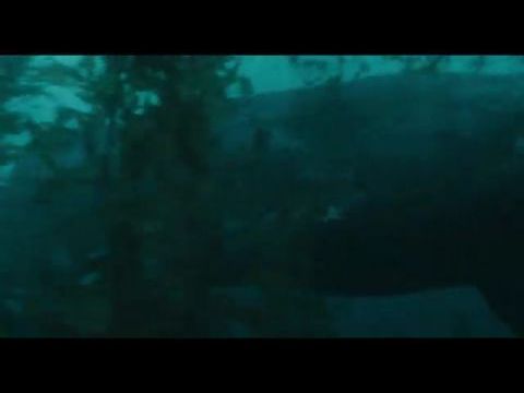 Whalefall
