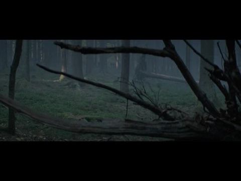 Három nap és egy élet