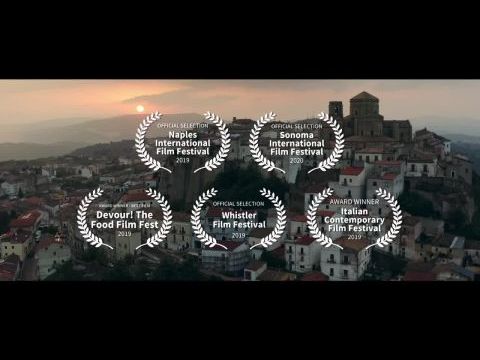 From the Vine Came the Grape